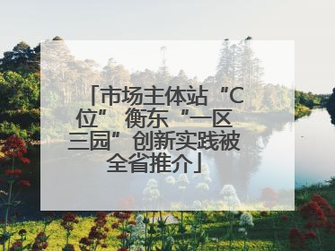 市场主体站“C位” 衡东“一区三园”创新实践被全省推介