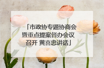 市政协专题协商会暨重点提案督办会议召开 黄喜忠讲话