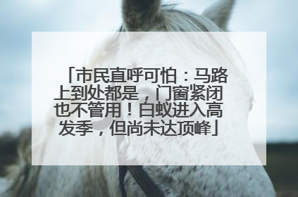 市民直呼可怕：马路上到处都是，门窗紧闭也不管用！白蚁进入高发季，但尚未达顶峰