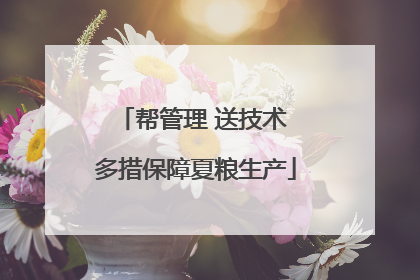 帮管理 送技术 多措保障夏粮生产