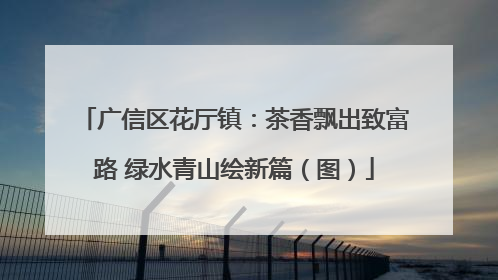 广信区花厅镇：茶香飘出致富路 绿水青山绘新篇（图）
