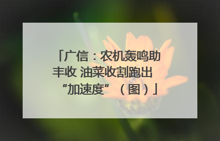 广信：农机轰鸣助丰收 油菜收割跑出“加速度”（图）