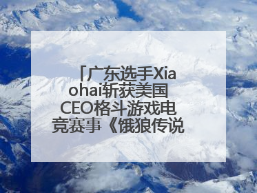 广东选手Xiaohai斩获美国CEO格斗游戏电竞赛事《饿狼传说》项目冠军