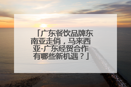 广东餐饮品牌东南亚走俏，马来西亚-广东经贸合作有哪些新机遇？