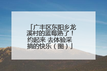 广丰区东阳乡龙溪村的蓝莓熟了！约起来 去体验采摘的快乐（图）