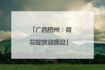 广西梧州：荷花绽放迎盛夏