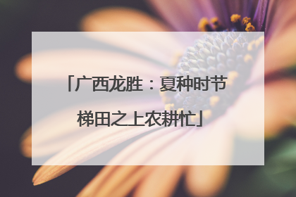 广西龙胜：夏种时节 梯田之上农耕忙