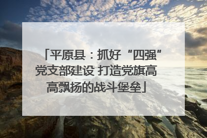 平原县：抓好“四强”党支部建设 打造党旗高高飘扬的战斗堡垒