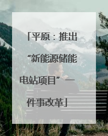 平原：推出“新能源储能电站项目”一件事改革