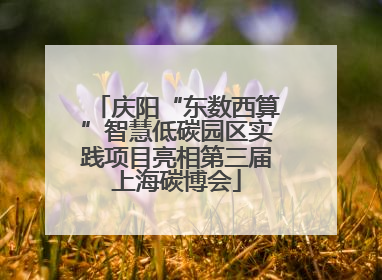 庆阳“东数西算”智慧低碳园区实践项目亮相第三届上海碳博会