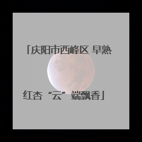 庆阳市西峰区 早熟红杏“云”端飘香