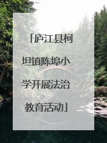 庐江县柯坦镇陈埠小学开展法治教育活动