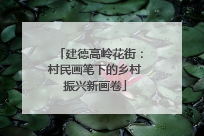 建德高岭花街：村民画笔下的乡村振兴新画卷
