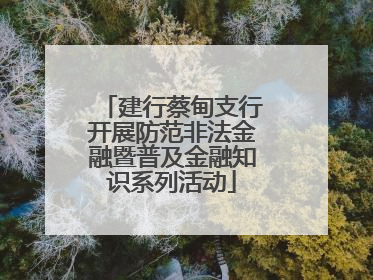 建行蔡甸支行开展防范非法金融暨普及金融知识系列活动