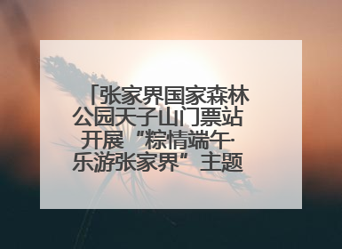 张家界国家森林公园天子山门票站开展“粽情端午·乐游张家界”主题宠客活动