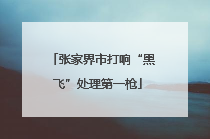 张家界市打响“黑飞”处理第一枪