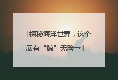 探秘海洋世界，这个展有“鲸”无险→