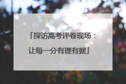 探访高考评卷现场：让每一分有理有据