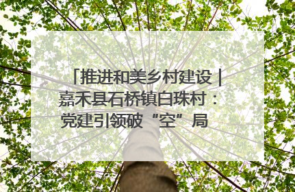 推进和美乡村建设｜嘉禾县石桥镇白珠村：党建引领破“空”局 乡贤聚力绘就新图景