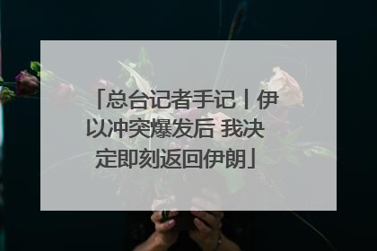总台记者手记丨伊以冲突爆发后 我决定即刻返回伊朗