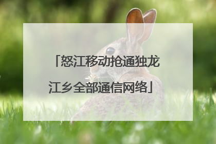 怒江移动抢通独龙江乡全部通信网络