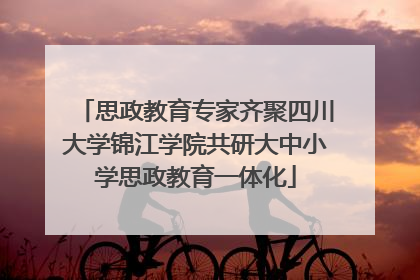 思政教育专家齐聚四川大学锦江学院共研大中小学思政教育一体化