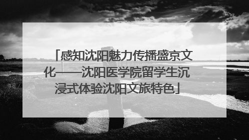 感知沈阳魅力传播盛京文化——沈阳医学院留学生沉浸式体验沈阳文旅特色