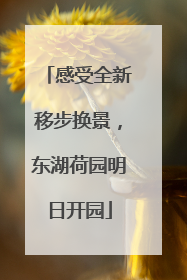 感受全新移步换景，东湖荷园明日开园