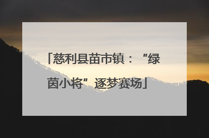 慈利县苗市镇：“绿茵小将”逐梦赛场
