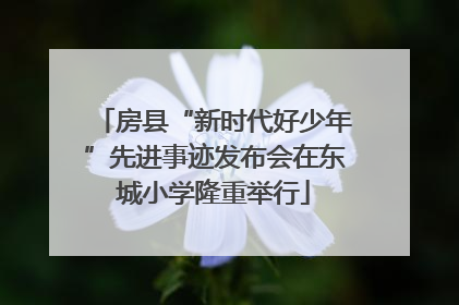房县“新时代好少年”先进事迹发布会在东城小学隆重举行