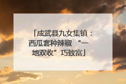成武县九女集镇：西瓜套种辣椒 “一地双收”巧致富