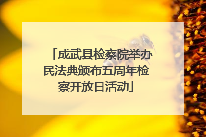成武县检察院举办民法典颁布五周年检察开放日活动