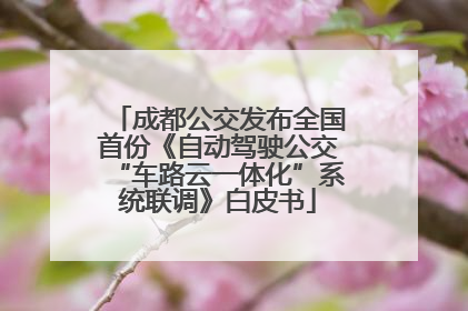 成都公交发布全国首份《自动驾驶公交“车路云一体化”系统联调》白皮书