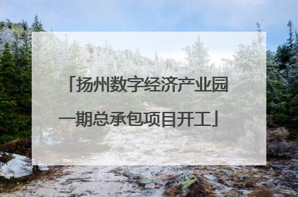 扬州数字经济产业园一期总承包项目开工