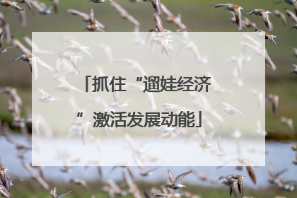 抓住“遛娃经济”激活发展动能