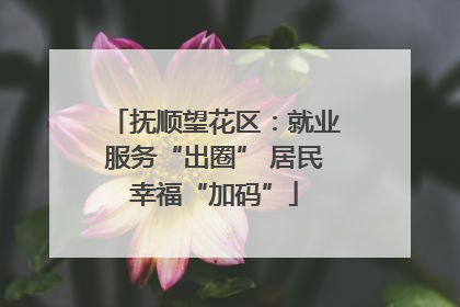 抚顺望花区：就业服务“出圈” 居民幸福“加码”