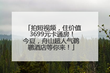 拍短视频，住价值3699元卡通房！今夏，舟山超人气鹈鹕酒店等你来！