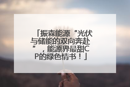 振森能源“光伏与储能的双向奔赴”，能源界最甜CP的绿色情书！