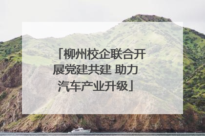 柳州校企联合开展党建共建 助力汽车产业升级