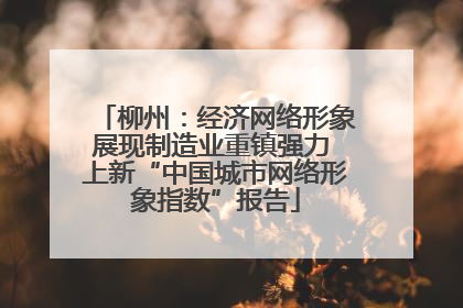 柳州：经济网络形象展现制造业重镇强力 上新“中国城市网络形象指数”报告