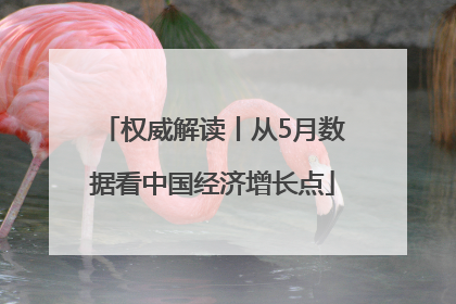 权威解读丨从5月数据看中国经济增长点