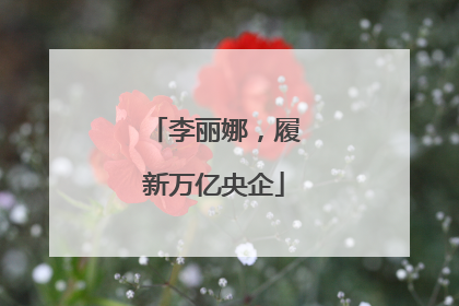 李丽娜，履新万亿央企