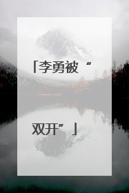 李勇被“双开”