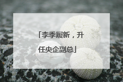 李季履新，升任央企副总