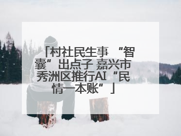 村社民生事 “智囊”出点子 嘉兴市秀洲区推行AI“民情一本账”