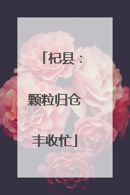 杞县：颗粒归仓丰收忙