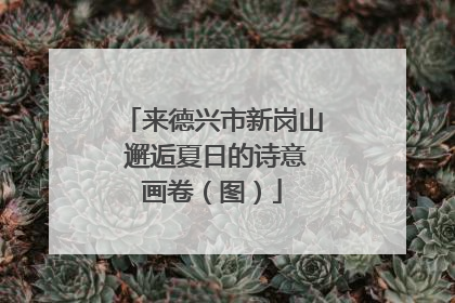 来德兴市新岗山 邂逅夏日的诗意画卷（图）