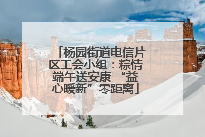 杨园街道电信片区工会小组：粽情端午送安康 “益心暖新”零距离