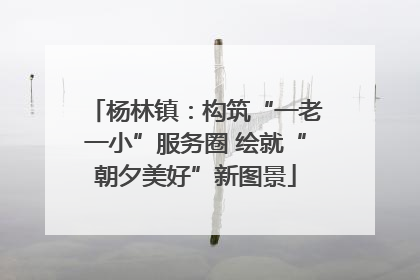 杨林镇：构筑“一老一小”服务圈 绘就“朝夕美好”新图景