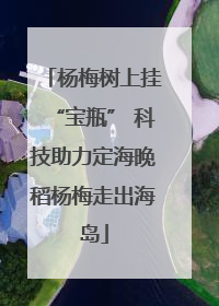 杨梅树上挂“宝瓶” 科技助力定海晚稻杨梅走出海岛